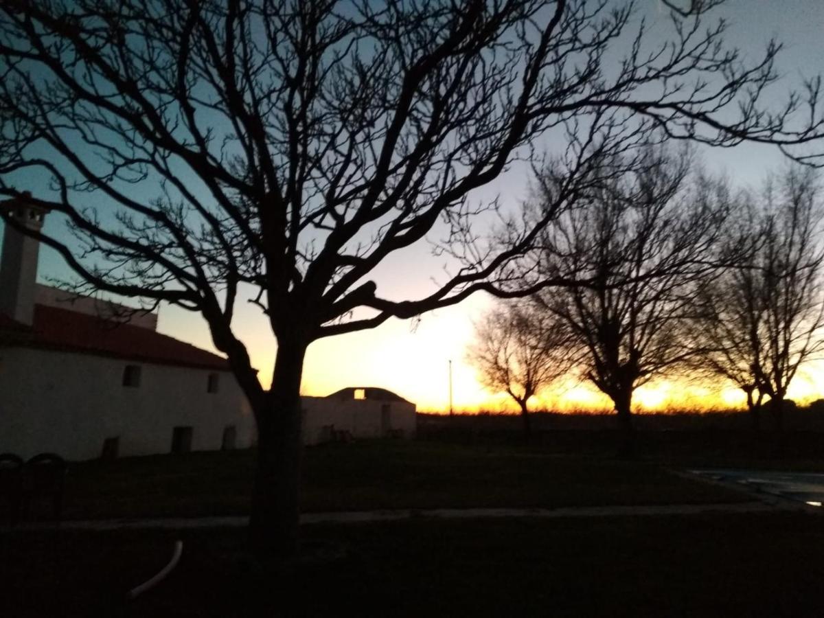 Casa Rural La Galana Albacete Чинчия де Монте Арагон Екстериор снимка
