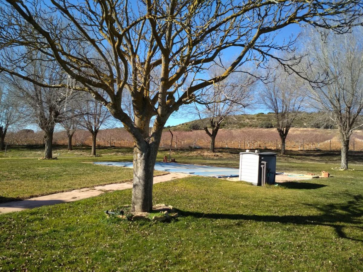 Casa Rural La Galana Albacete Чинчия де Монте Арагон Екстериор снимка