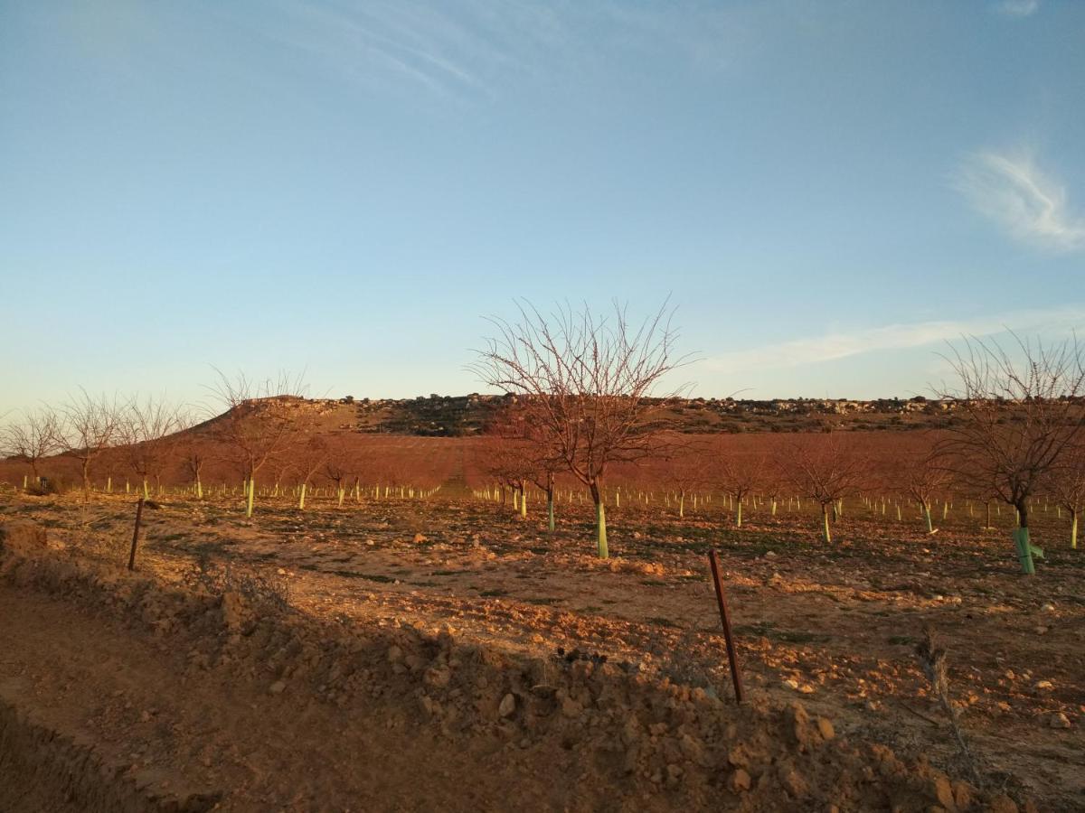 Casa Rural La Galana Albacete Чинчия де Монте Арагон Екстериор снимка