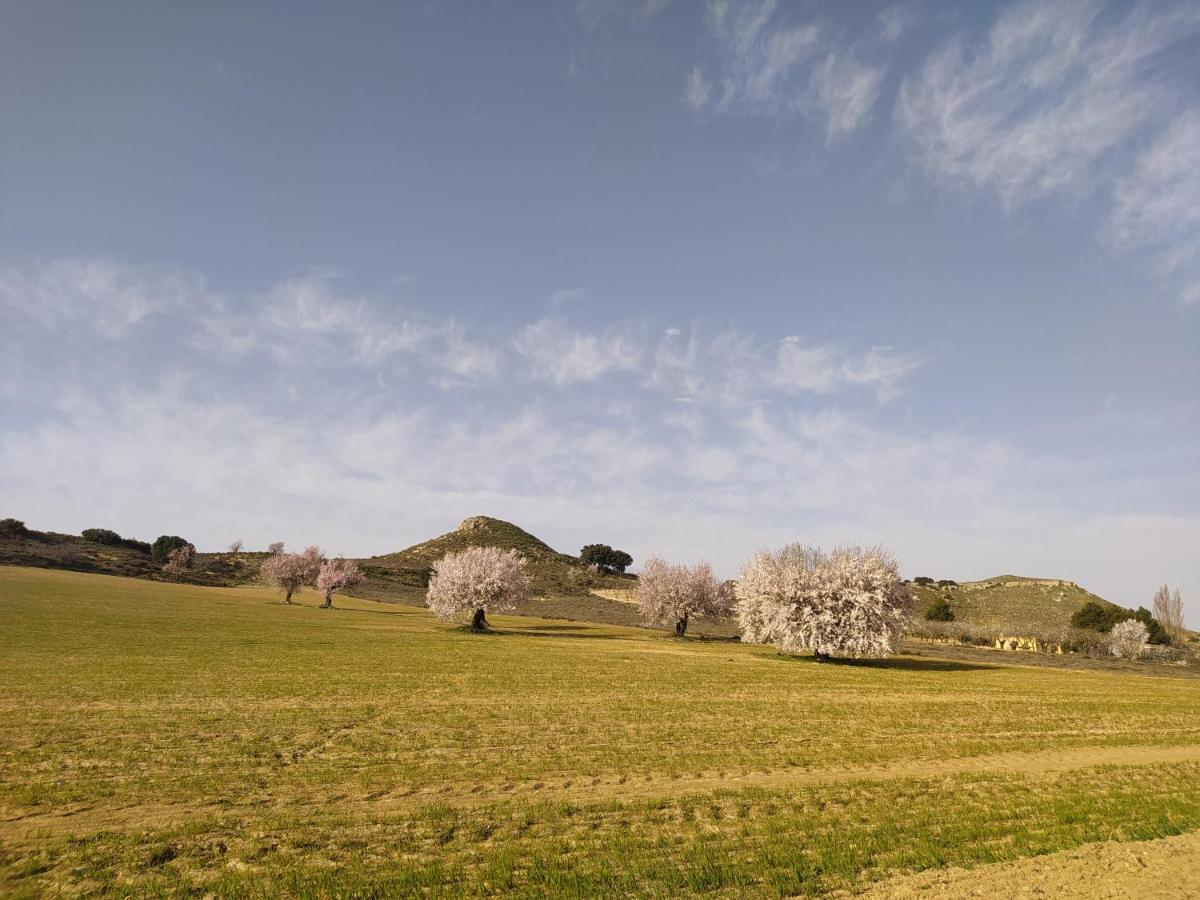 Casa Rural La Galana Albacete Чинчия де Монте Арагон Екстериор снимка